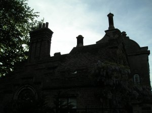 OLYMPUS DIGITAL CAMERA