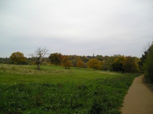 hampstead heath