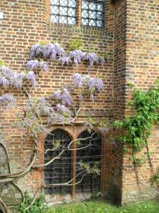 OLYMPUS DIGITAL CAMERA old tudor palace hatfield, hatfield house henry moore exhibition