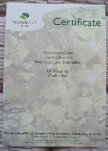 woodland trsut, the forest of marston vale, reclaiming enlands forests