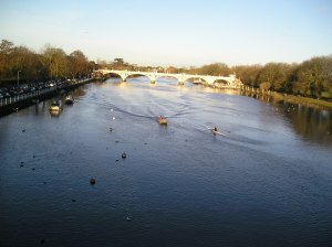 twickenham bridge & the river thames