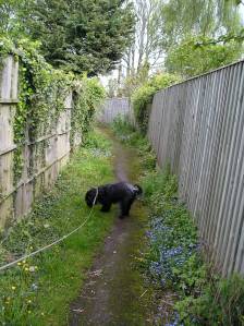 weobley herefordshire