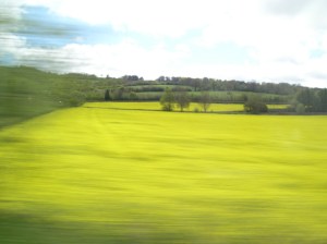 weobley, herefordshire, black and white villages of the uk, historical villages of the uk