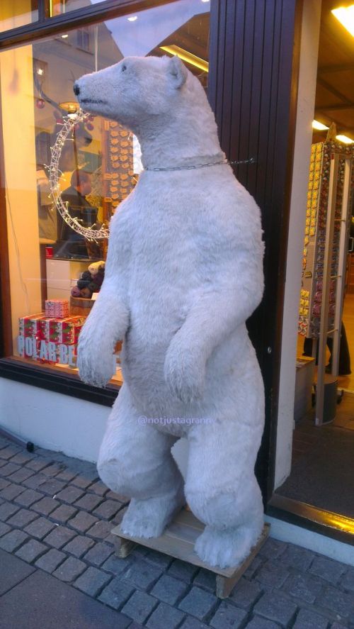 visiting for 3 days in iceland