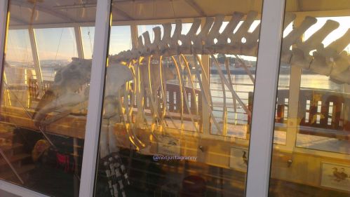 visiting for 3 days in iceland