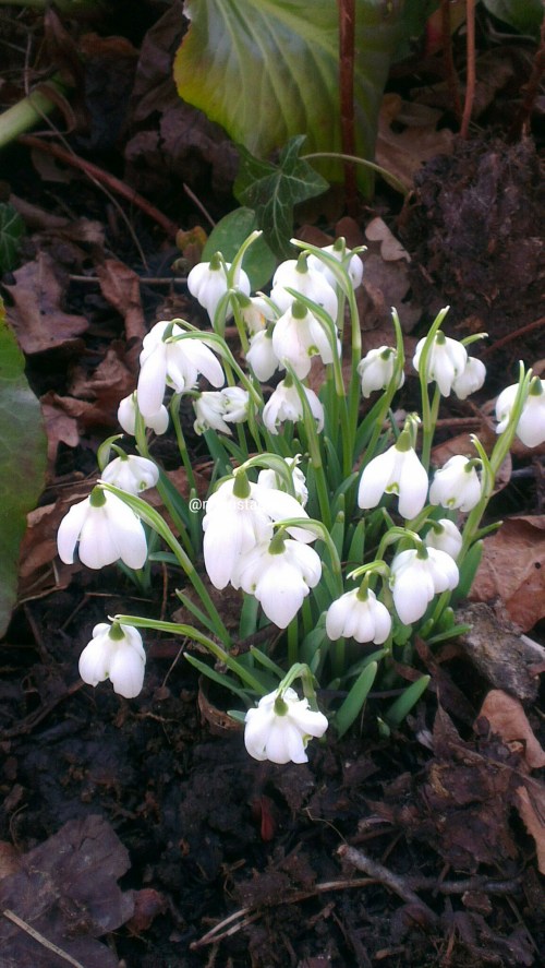 lightfx_1423500161765.jpg image