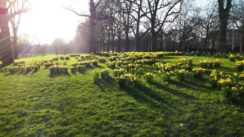 20160209_155608 - london