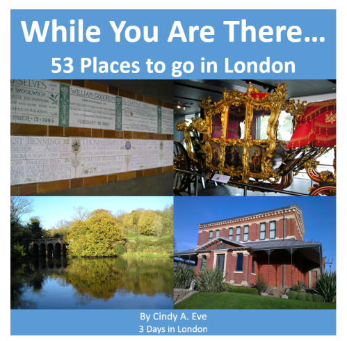 cover image sq - While You Are There