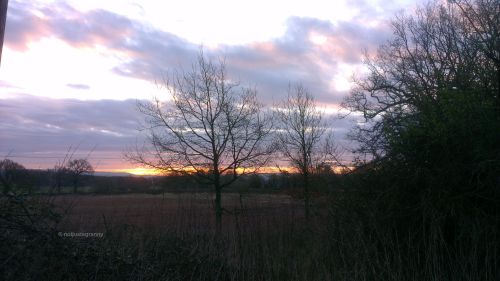 IMAG2587 - Kent April2016