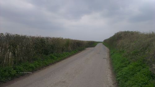 IMAG2780 - Kent April2016