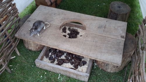 20160423_122613 - 23.04.16 Dover Castle &amp; Road Trip