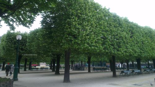 IMAG3189 - 2016.04.24 Paris for lunch