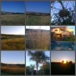 PhotoGrid_1461857645095[1]