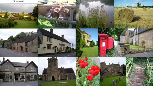 work and travel as a carer somerset