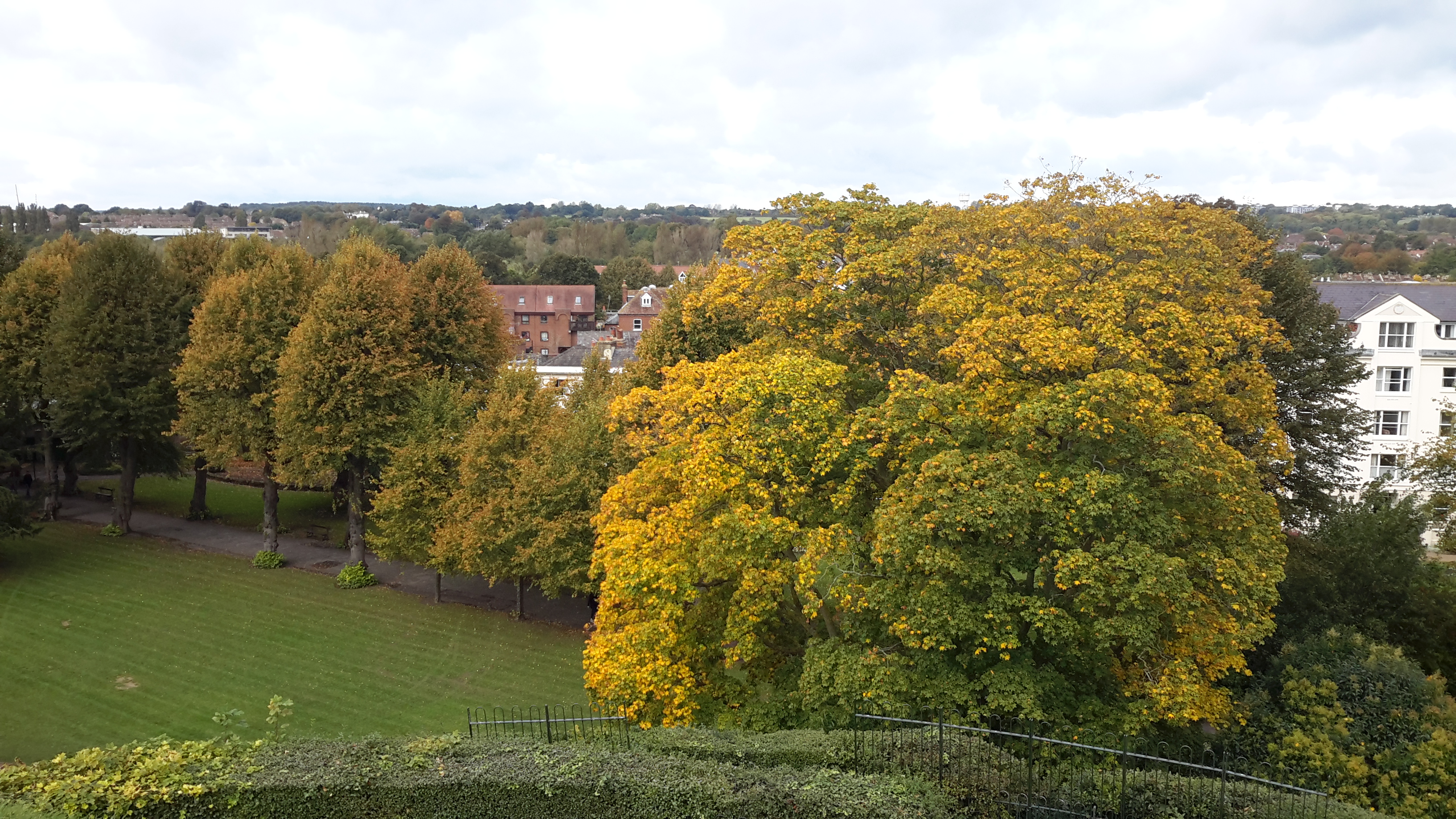 autumn colours in Canterbury