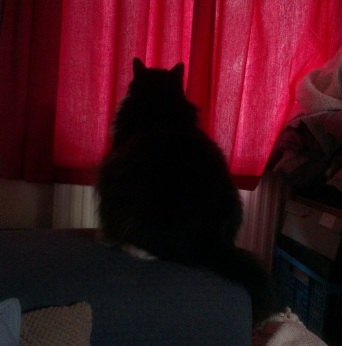 living in broadstairs