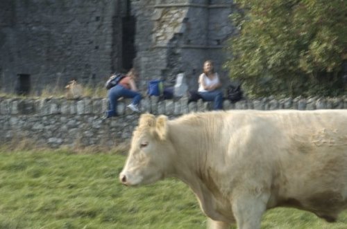 happy 15th anniversary