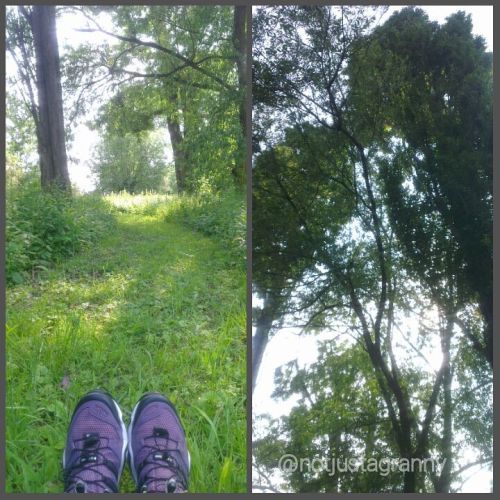 my camino; the journey so far