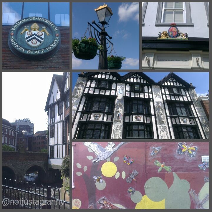 my camino; the journey so far