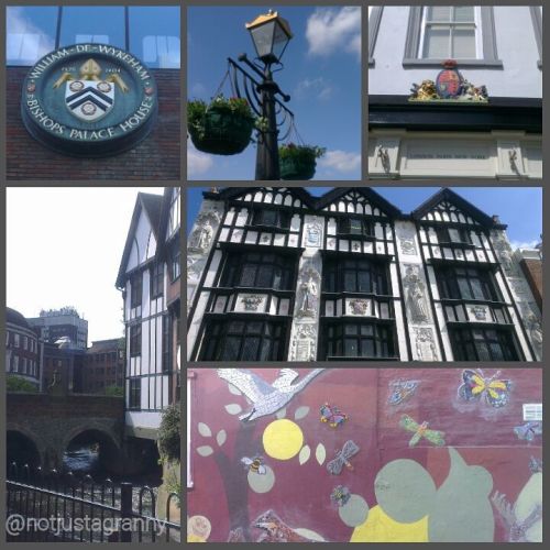 my camino; the journey so far