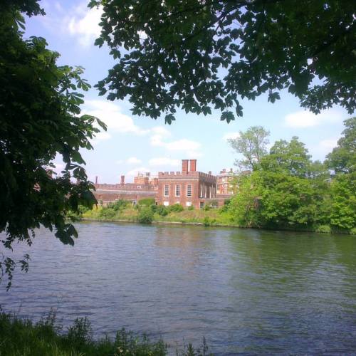 my camino; the journey so far