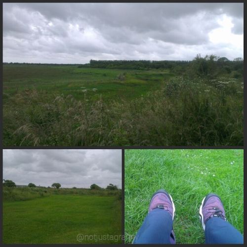 my camino; the journey so far