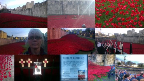 remembrance day tower poppies