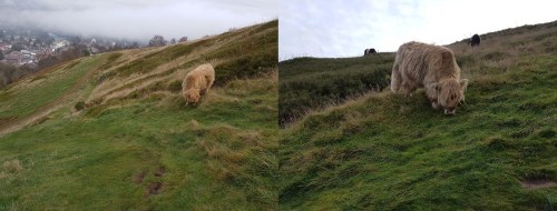 Great Malvern - climbing Worcestershire Beacon
