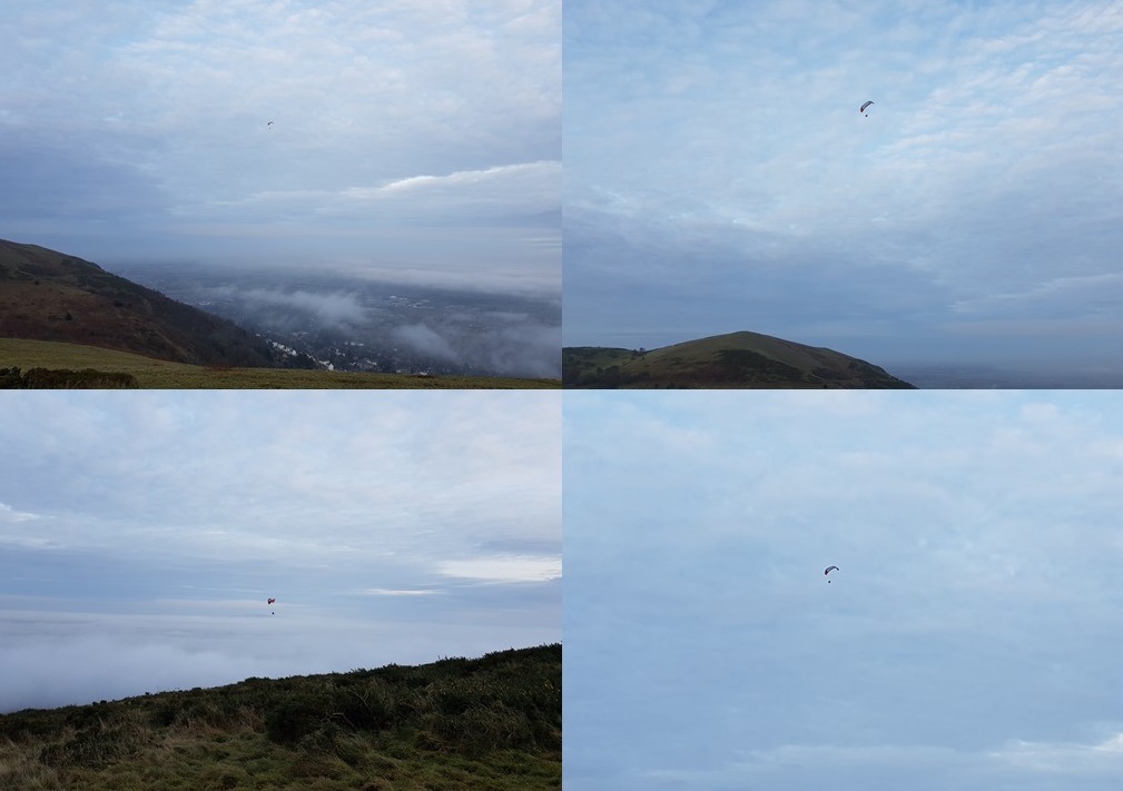 and just before I met up with the cows