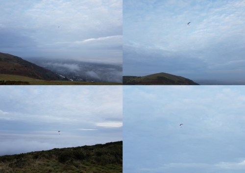 and just before I met up with the cows