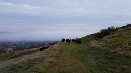 Great Malvern - climbing Worcestershire Beacon