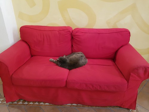 pensione helvetia pisa italy