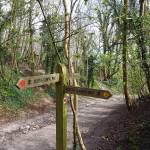 IMG_20170401_072654_338