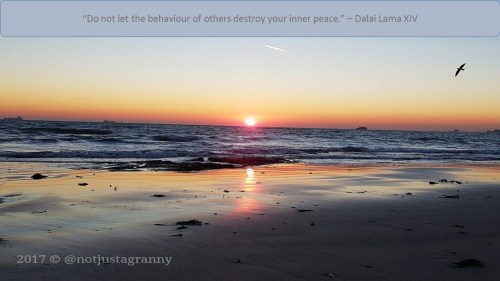 do not let the behaviour of others destroy your inner peace - dalai lama xiv