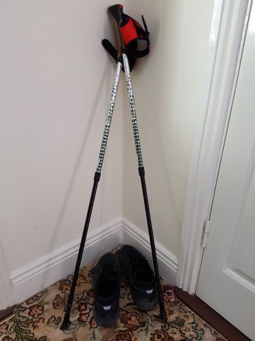 nordic walking poles