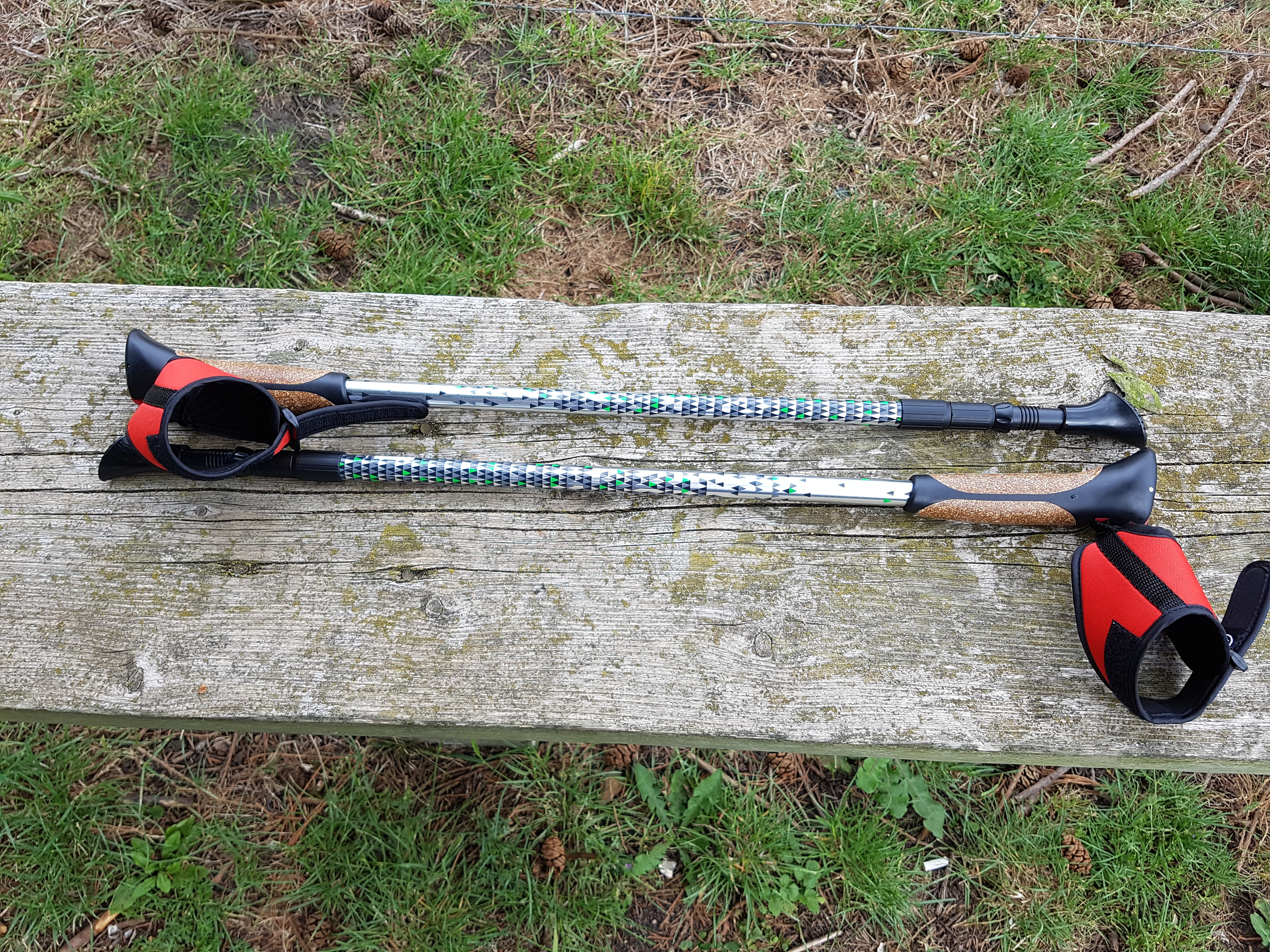 nordic walking poles