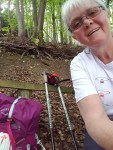nordic walking poles