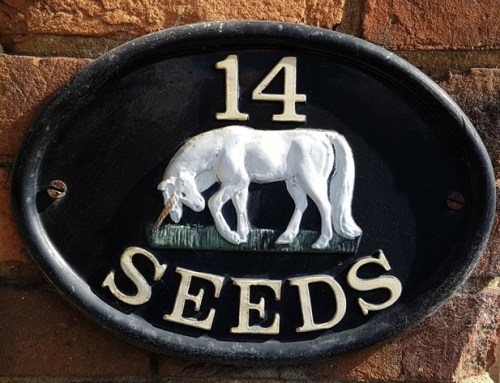 my camino 2017 porto to santiago