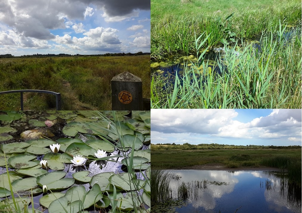 8 way of st augustine