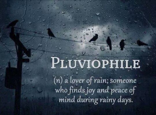 pluviophile a lover of rain