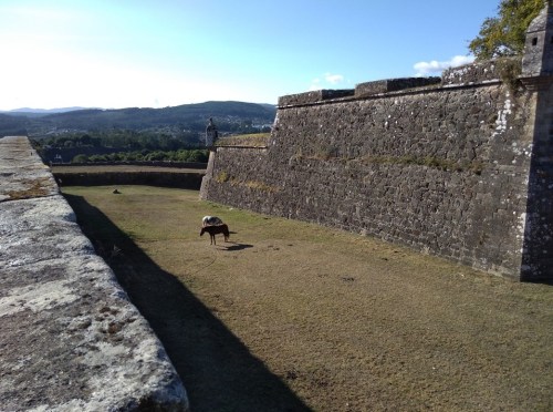 valenca, fortress city valenca portugal, camino 2017, camino de santiago, portuguese coastal route, porto to santiago, santiago de compostela, walking the camino, notjustagranny