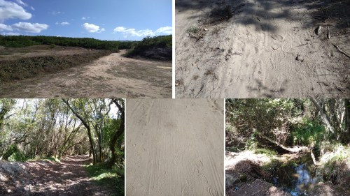 camino de santiago, portuguese coastal route, porto to santiago, viana do castelo to caminha, visit portugal