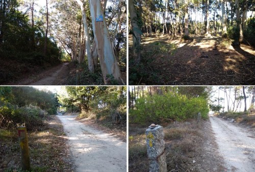 portuguese coastal route porto to santiago, camino de santiago