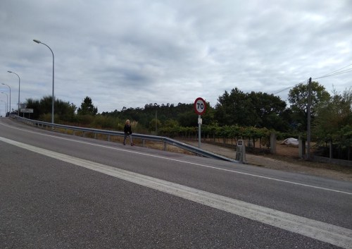 Camino Portugues, Camino de Santiago, tui, spain, camino de santiago, portuguese coastal route, portuguese central route to santiago, walking the camino, porto to santiago, walk 1000 miles, over the hill and still travelling, baby boomers, silver surfers, the boomer generation, things to do in your 60s, bucket list for the older generation,