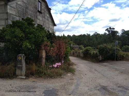 walking through galicia, xia oscar portico de la gloria santiago, via romana xix tui, Camino Portugues, Camino de Santiago, tui, spain, camino de santiago, portuguese coastal route, portuguese central route to santiago, walking the camino, porto to santiago, walk 1000 miles, over the hill and still travelling, baby boomers, silver surfers, the boomer generation, things to do in your 60s, bucket list for the older generation,