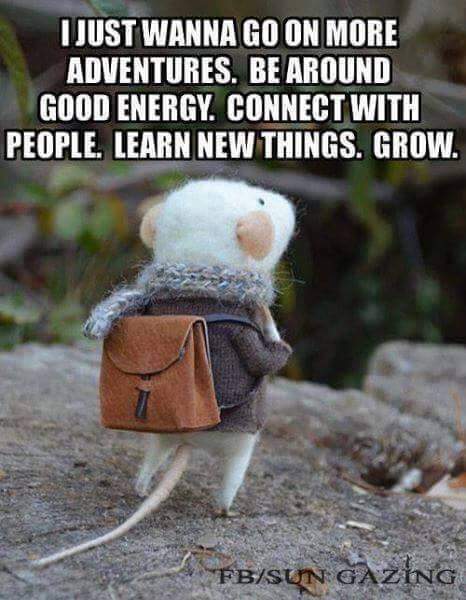 inspirational quotes