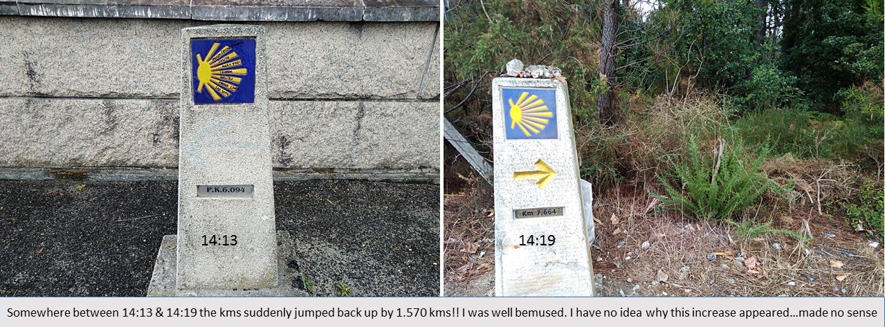 caminho portugues to santiago, padron to santiago, walking the camino, solo travelling in europe, santiago de compostela