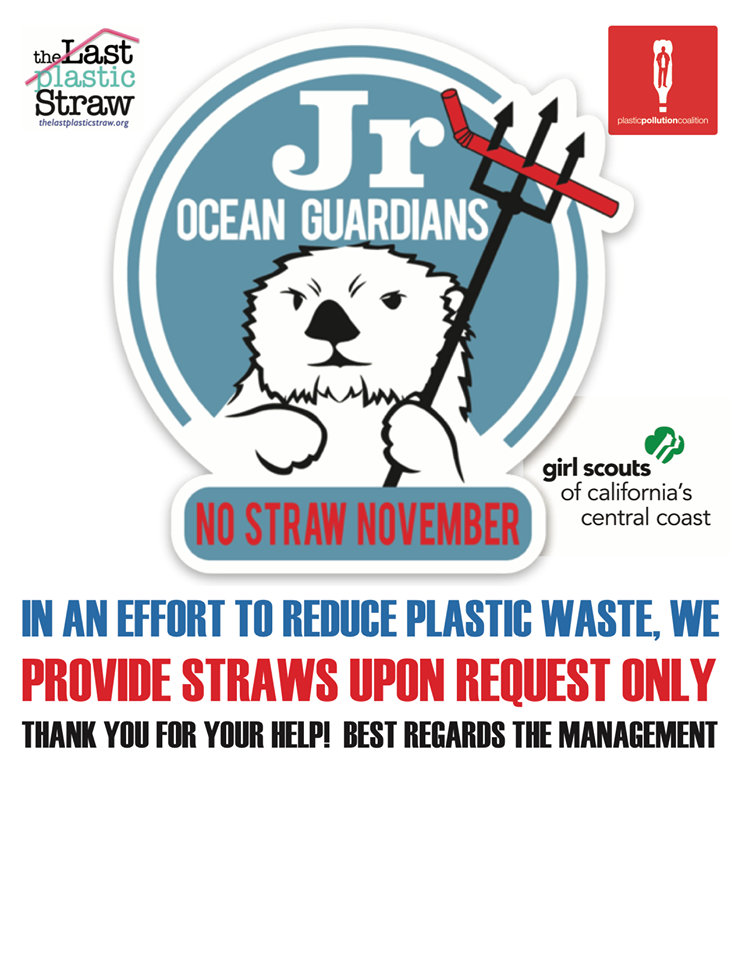 no straw november, ocean guardians, single use plastic