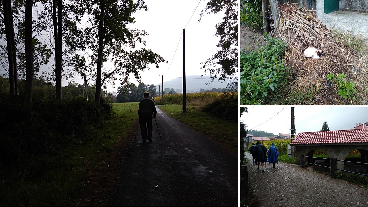 padron to santiago, camino portuguese, porto to santiago, pilgrimage to santiago, the way of st james, walking to santiago, pilgrimage to santiago de compostela, not just a granny, visit spain,