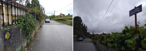 the pilgrims way to santiago, camino de santiago, o porrino to arcade, walking the camino, portuguese coastal and central route,